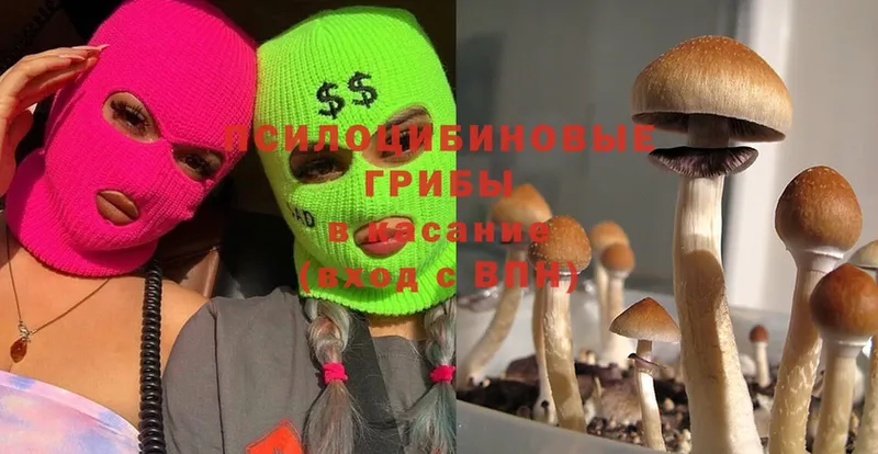 Галлюциногенные грибы MAGIC MUSHROOMS  где купить наркотик  Краснозаводск 